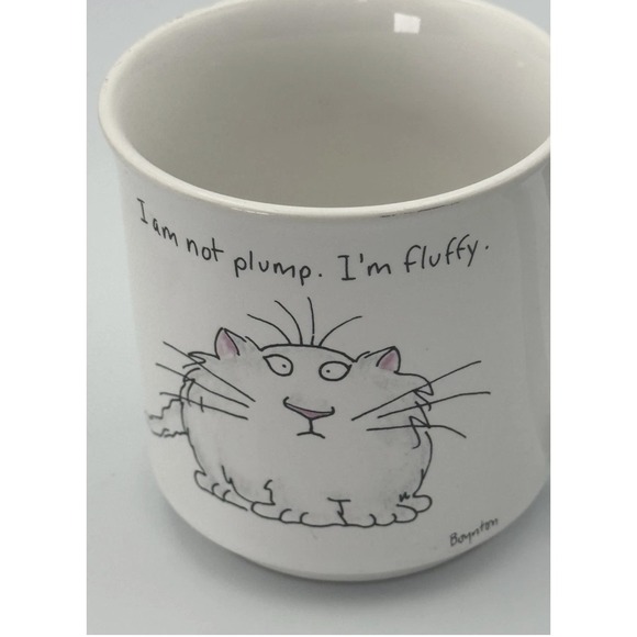 Sandra Boynton Cat Mug "I Am Not Plump I'm Fluffy" Recycled Paper Products Japan - Picture 3 of 10